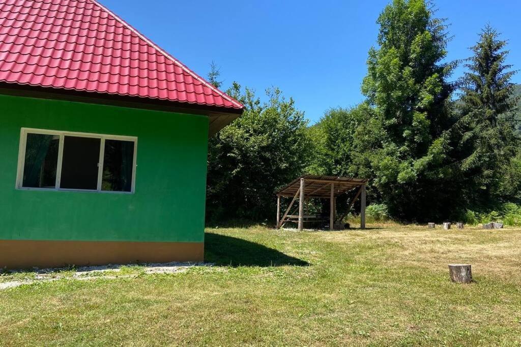 The Green House - Apuseni Mountains Pietroasa  Eksteriør billede