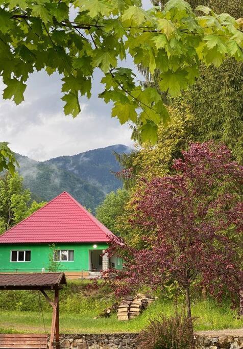 The Green House - Apuseni Mountains Pietroasa  Eksteriør billede